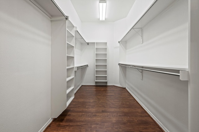 walk in closet featuring dark wood-style floors