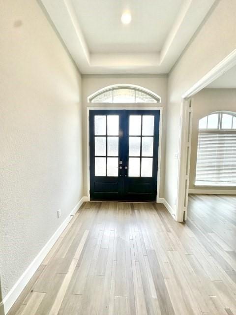 entryway with a tray ceiling, plenty of natural light, light wood-style flooring, and baseboards