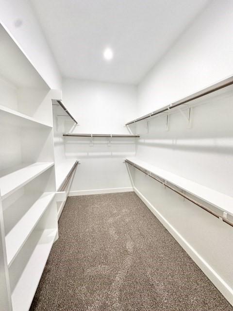 spacious closet with carpet