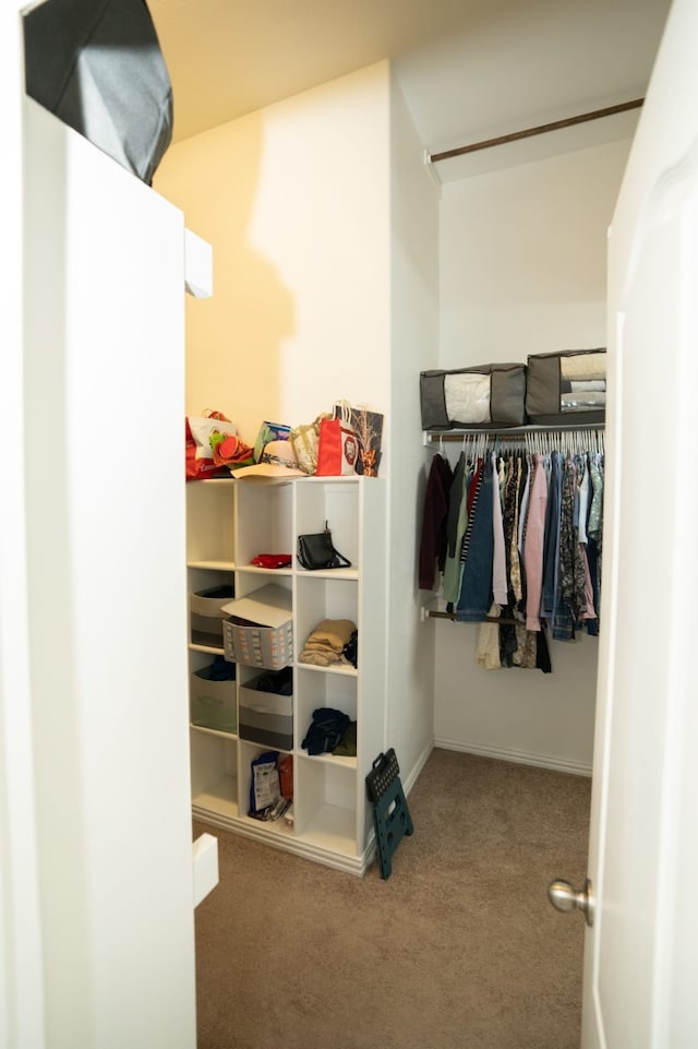 walk in closet featuring carpet flooring