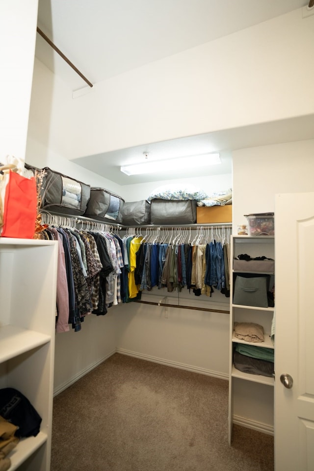 walk in closet featuring dark colored carpet