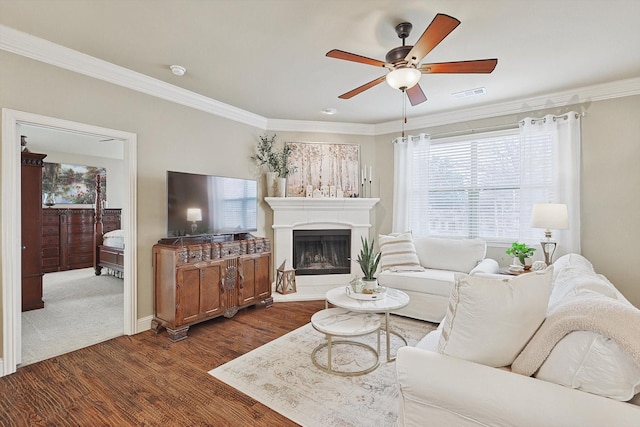 living room with visible vents, a fireplace with raised hearth, dark wood-style floors, ceiling fan, and ornamental molding