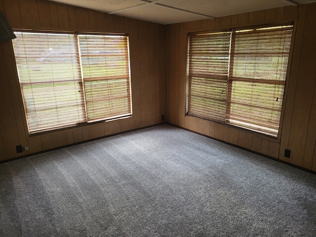 unfurnished room featuring carpet floors and wooden walls