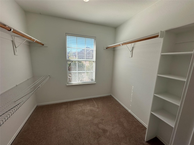 walk in closet featuring dark carpet