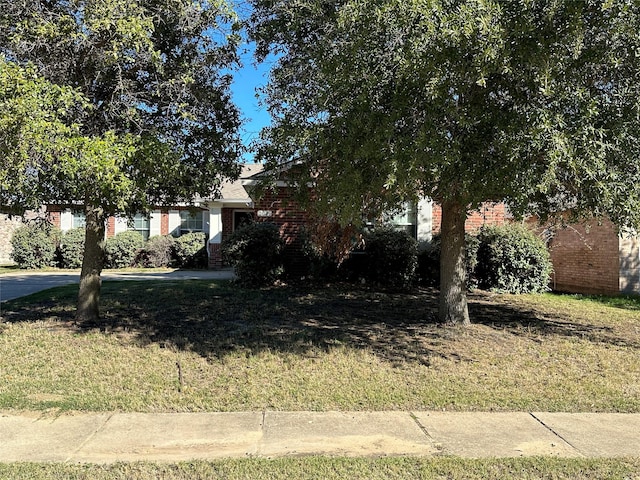 obstructed view of property with a front yard and brick siding