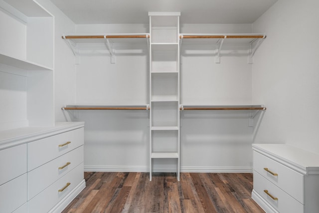 walk in closet with dark wood-type flooring