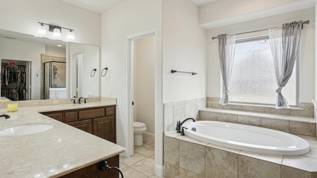 bathroom with plenty of natural light, vanity, a shower stall, and a bath