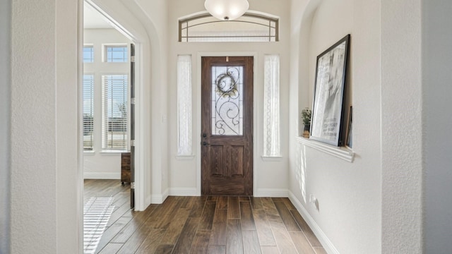 entryway with plenty of natural light, dark wood finished floors, and baseboards