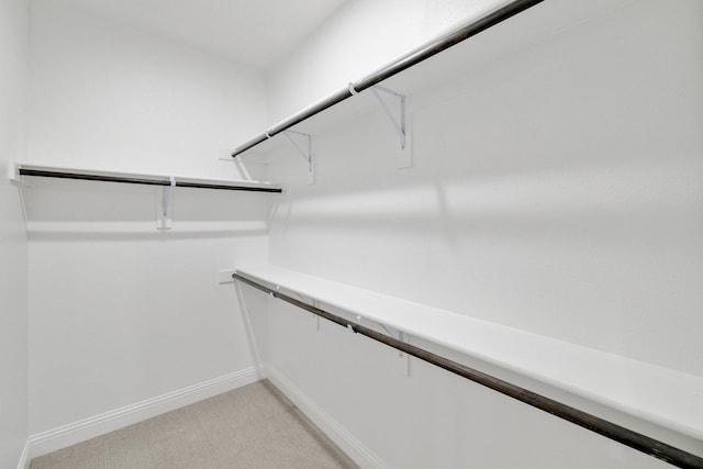 spacious closet featuring light colored carpet