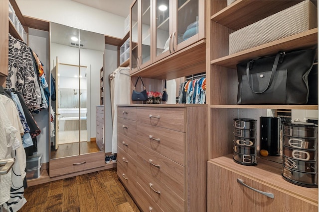 walk in closet featuring dark wood finished floors