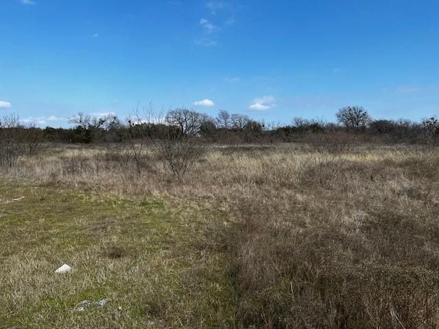 view of local wilderness with a rural view