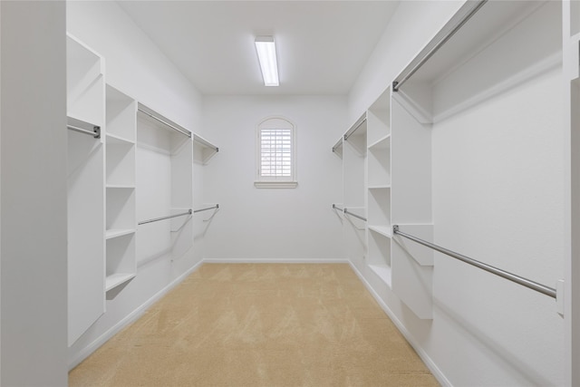 walk in closet with light carpet