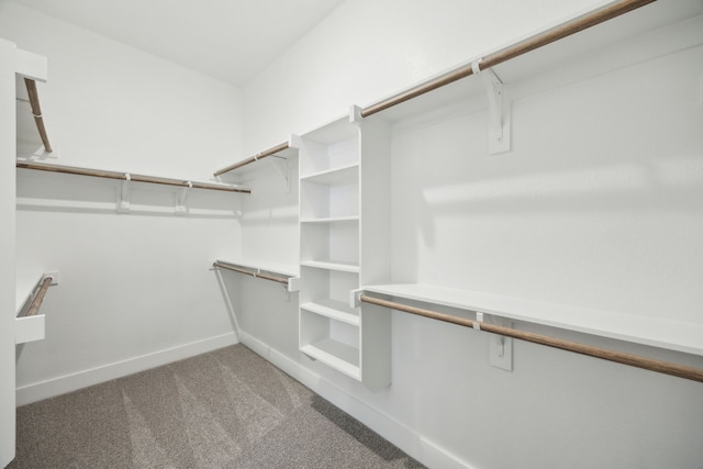 walk in closet featuring carpet floors