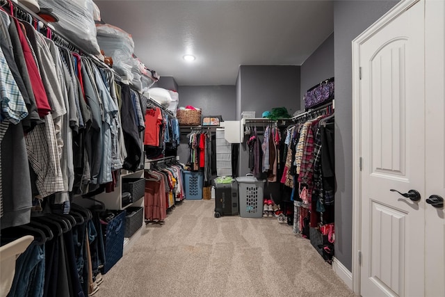 walk in closet featuring carpet flooring