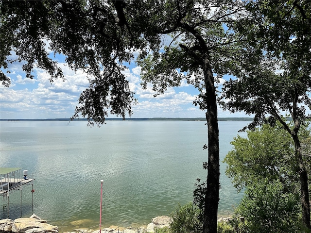 view of water feature