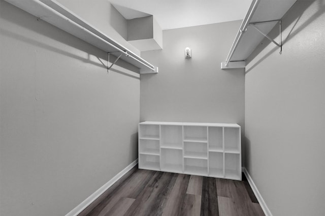 spacious closet featuring dark wood finished floors