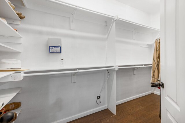 spacious closet with dark wood-type flooring