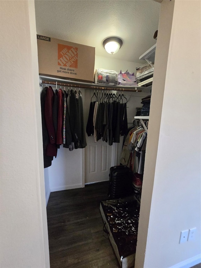 spacious closet featuring dark wood finished floors