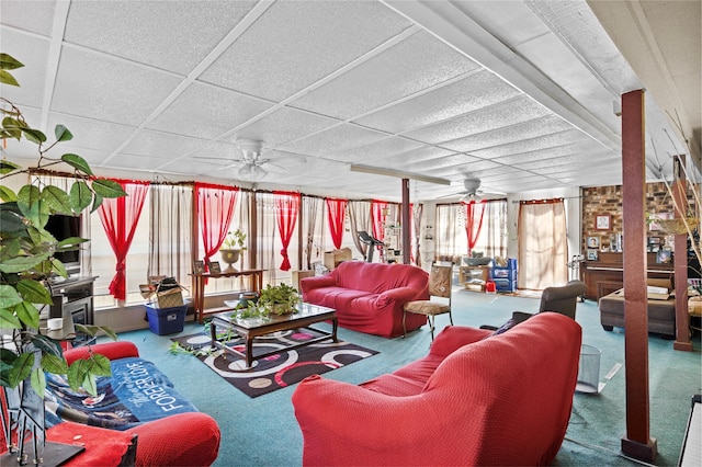 carpeted living room with ceiling fan and a drop ceiling