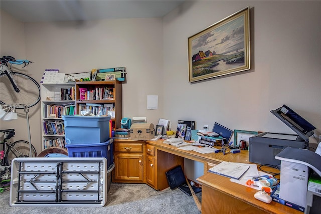 office space featuring light colored carpet