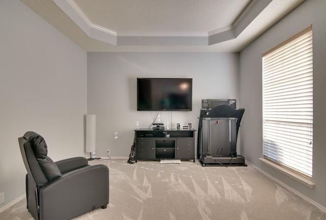 living room featuring plenty of natural light, a tray ceiling, and carpet flooring