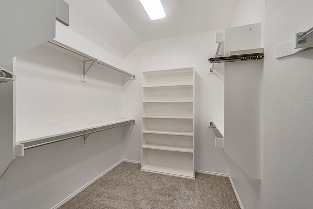 walk in closet featuring vaulted ceiling and carpet flooring