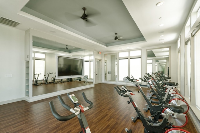 gym featuring dark wood-type flooring, a tray ceiling, visible vents, and ceiling fan