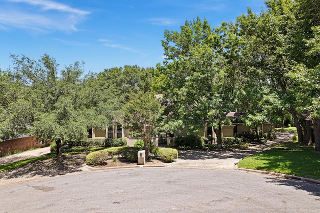 obstructed view of property featuring driveway