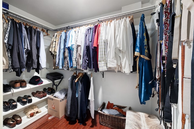 walk in closet with wood finished floors