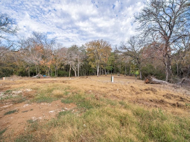 225 Lake Dr, Hickory Creek, TX 75065 - view of nature