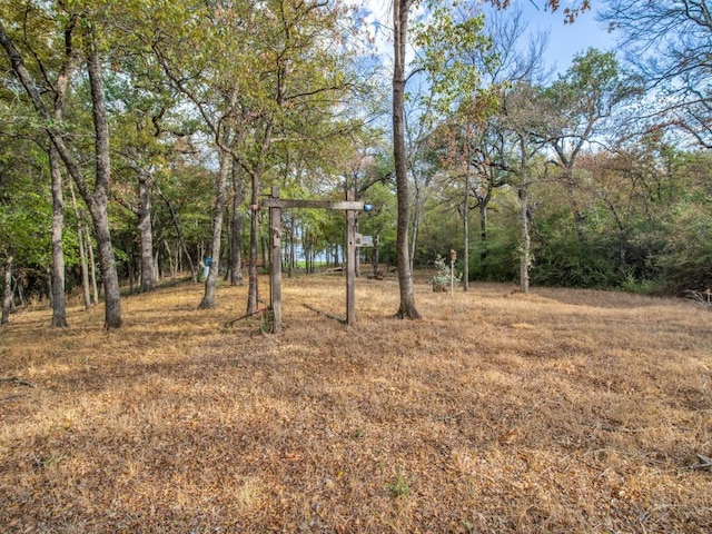 225 Lake Dr, Hickory Creek, TX 75065 - view of yard