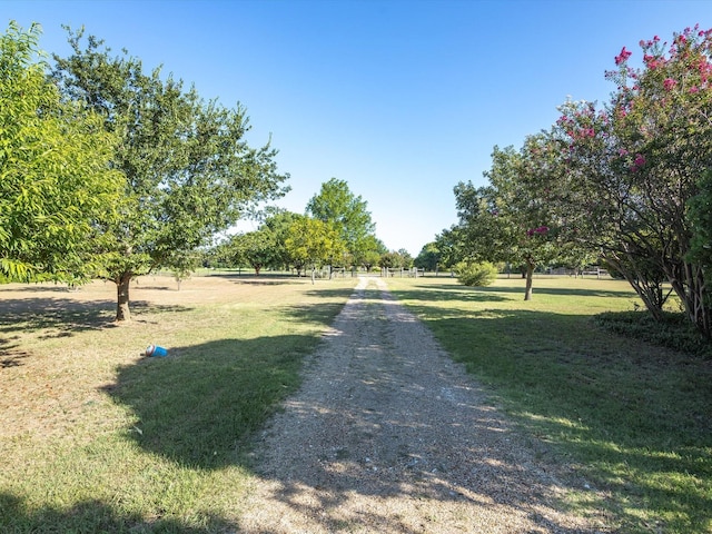 view of street featuring a rural view