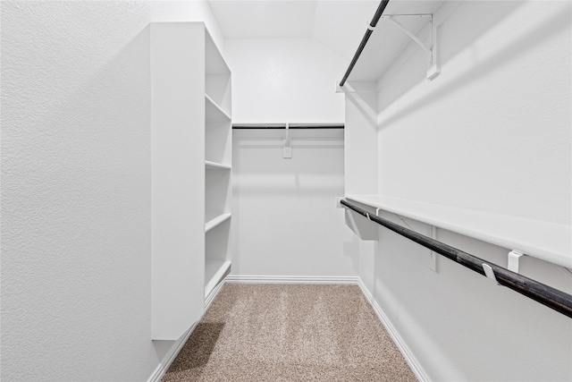 walk in closet featuring carpet flooring