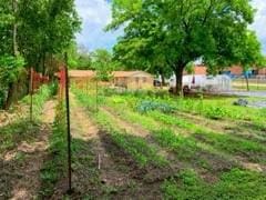 view of yard featuring a garden