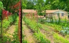 view of yard featuring a garden