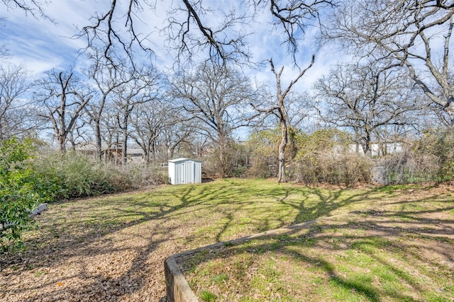 view of yard with an outdoor structure and a storage shed