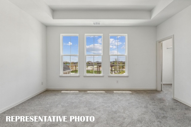 spare room with light colored carpet, a raised ceiling, and visible vents