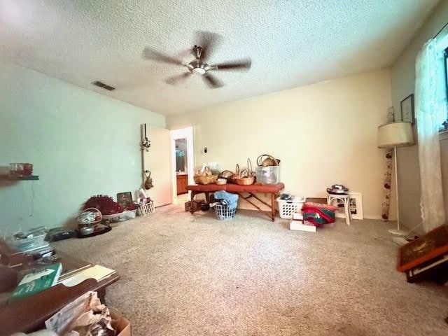 23319 Penninsula Pt, Frankston, TX 75763 - miscellaneous room featuring ceiling fan, a textured ceiling, and carpet