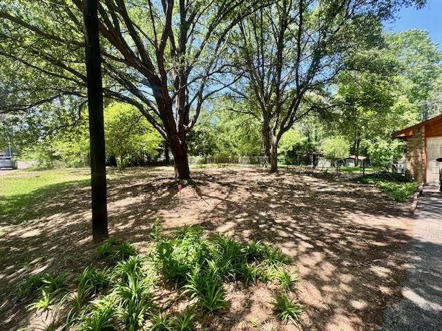 23319 Penninsula Pt, Frankston, TX 75763 - view of yard
