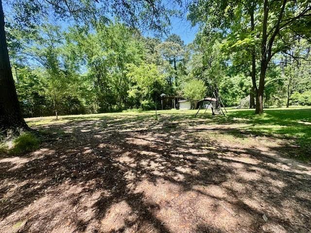 23319 Penninsula Pt, Frankston, TX 75763 - view of yard