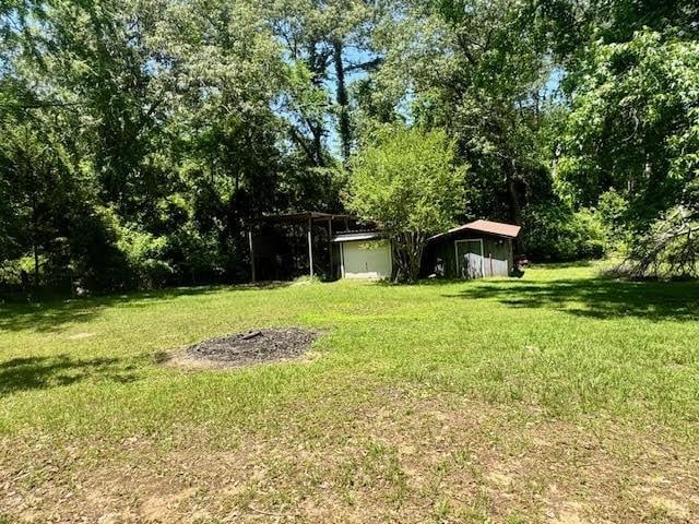 23319 Penninsula Pt, Frankston, TX 75763 - view of grassy yard