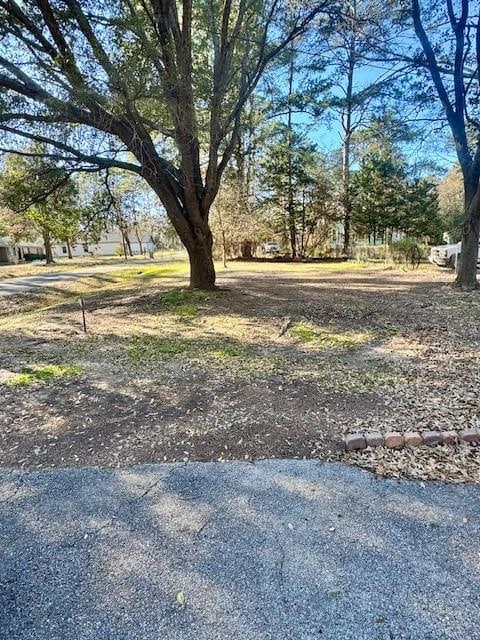 23319 Penninsula Pt, Frankston, TX 75763 - view of yard