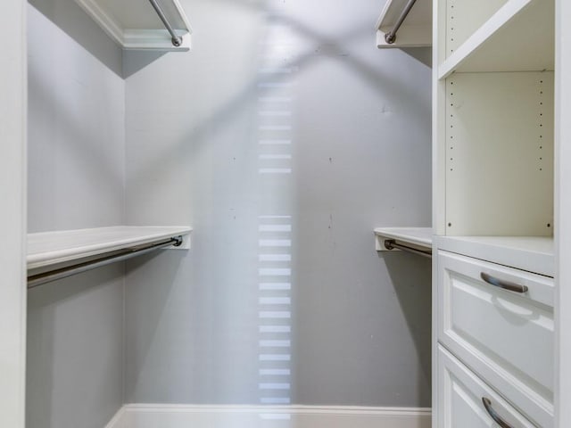 view of walk in closet