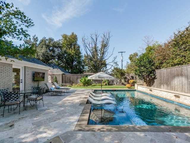 view of swimming pool with a patio area, a fenced backyard, and a fenced in pool