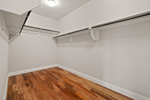 walk in closet featuring wood finished floors