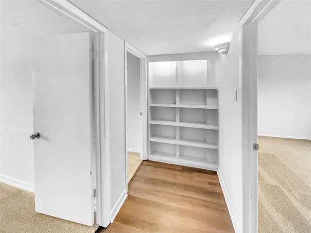 spacious closet with wood finished floors