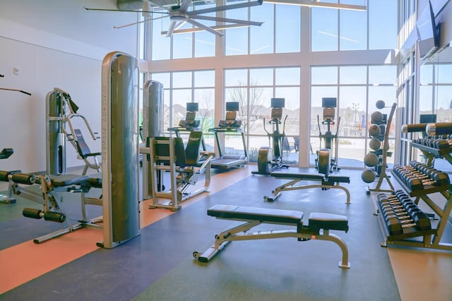 1909 Paxton Pass, Mckinney, TX 75071 - exercise room with ceiling fan and a high ceiling