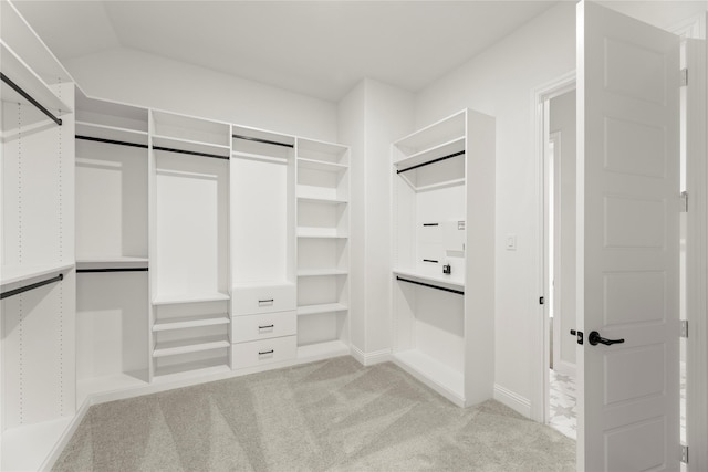 325 Waterview, Gunter, TX 75058 - walk in closet with light carpet