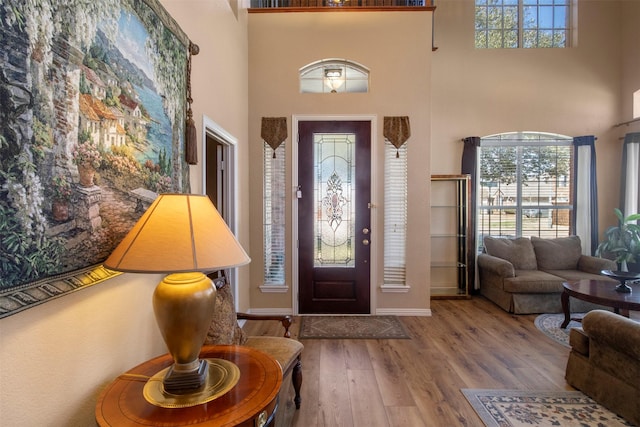 entryway with a towering ceiling and wood finished floors