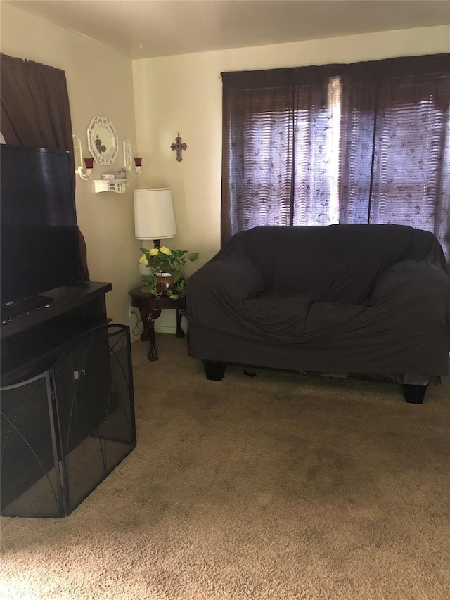 living room featuring carpet floors